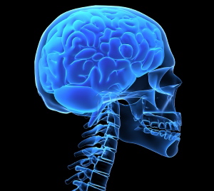 David Goldstein Op Ed -Sports-related brain injuries can be avoided – Miami Herald