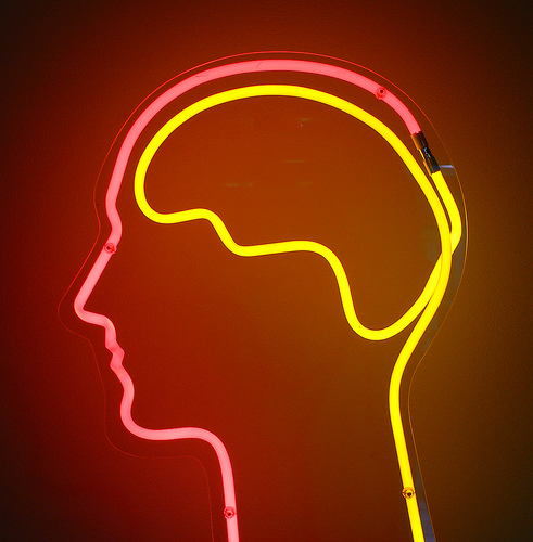 Playing Doctor: Politicking Medical Professionals Kill Anti-Concussion Bill, Leaving Kids Unprotected | Broward Palm Beach New Times