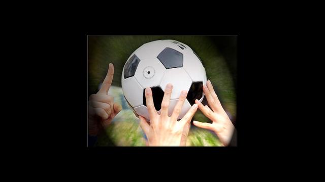 Keeping student athletes brain-healthy – WTSP.com