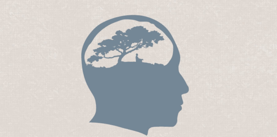 SOLVING THE CONCUSSION CRISIS: PRACTICAL SOLUTIONS