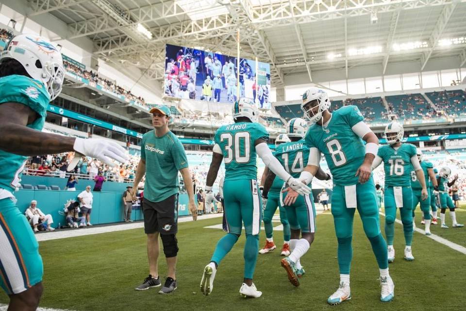 Miami Dolphins to fund concussion testing for Miami-Dade public schools